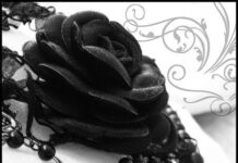 Cómo Combinar Accesorios de Belleza accesorios de belleza