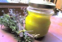 Cuida tu Piel con Cremas Naturales y Caseras