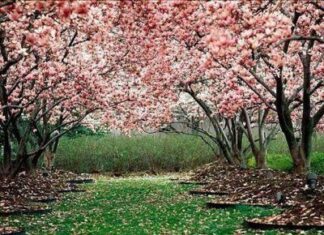 Cambios estacionales