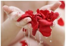 Agua de rosas contra el Acné Agua de rosas contra el Acné