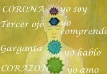 Chakras y belleza Chakras y belleza
