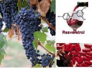 el-resveratrol-el-nuevo-elixir-juventud-L-2