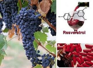 La pildora de la eterna juventud se acerca