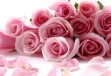 Cinco Tips para Ahorrar Dinero en tus Regalos para el Día de la Madre Cinco Tips para Ahorrar Dinero en tus Regalos para el Día de la Madre
