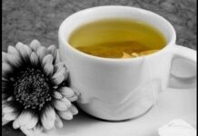 El té blanco, secreto de la eterna juventud El té blanco, secreto de la eterna juventud