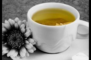 El té blanco, secreto de la eterna juventud