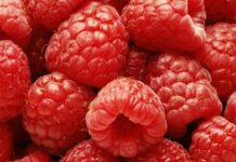 Suplementos de cetona de frambuesa