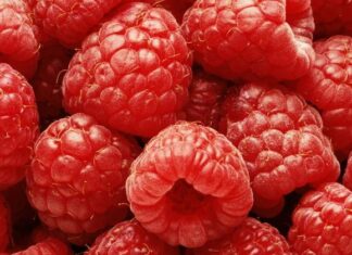 Suplementos de cetona de frambuesa