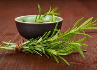 Como Utilizar El ROMERO Como Aliado De BELLEZA