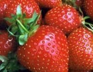 Haz tu propia crema hidratante