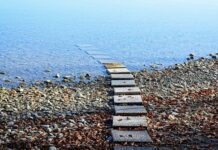 Los Beneficios del Mindfulness para Mujeres Los Beneficios del Mindfulness para Mujeres