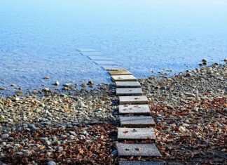 Los Beneficios del Mindfulness para Mujeres Los Beneficios del Mindfulness para Mujeres