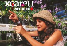 El espectáculo de las bromelias y orquídeas de Xcaret bromelias y orquídeas de Xcaret