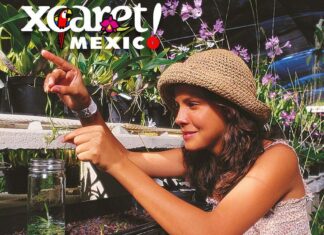 El espectáculo de las bromelias y orquídeas de Xcaret bromelias y orquídeas de Xcaret