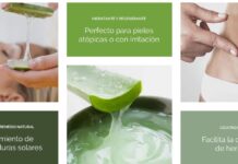Beneficios del Aloe Vera + Receta de Jabón Beneficios Aloe Vera