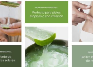 Beneficios del Aloe Vera + Receta de Jabón Beneficios Aloe Vera