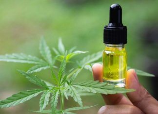 La tendencia del aceite CBD para tratamientos de belleza y cuidado de la salud