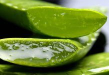 Trucos y cuidados de la piel utilizando productos naturales de aloe vera