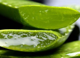 Trucos y cuidados de la piel utilizando productos naturales de aloe vera